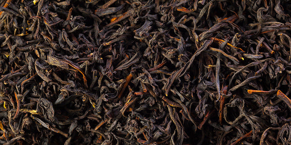 Which Tea Suits You Best? Complete Guide to Tea Types